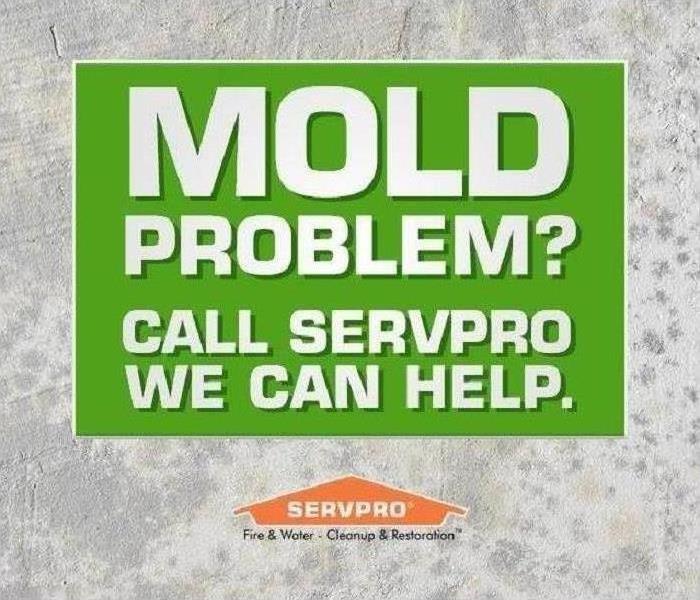 grayish background with mold spores, green box with "Mold problem? call servpro we can help" in middle, servpro logo under it